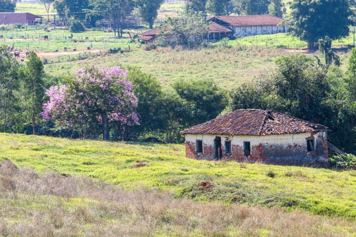 pexels-photo-32451503 rural farmhouse in mirassol countryside