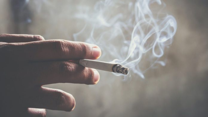 cigar